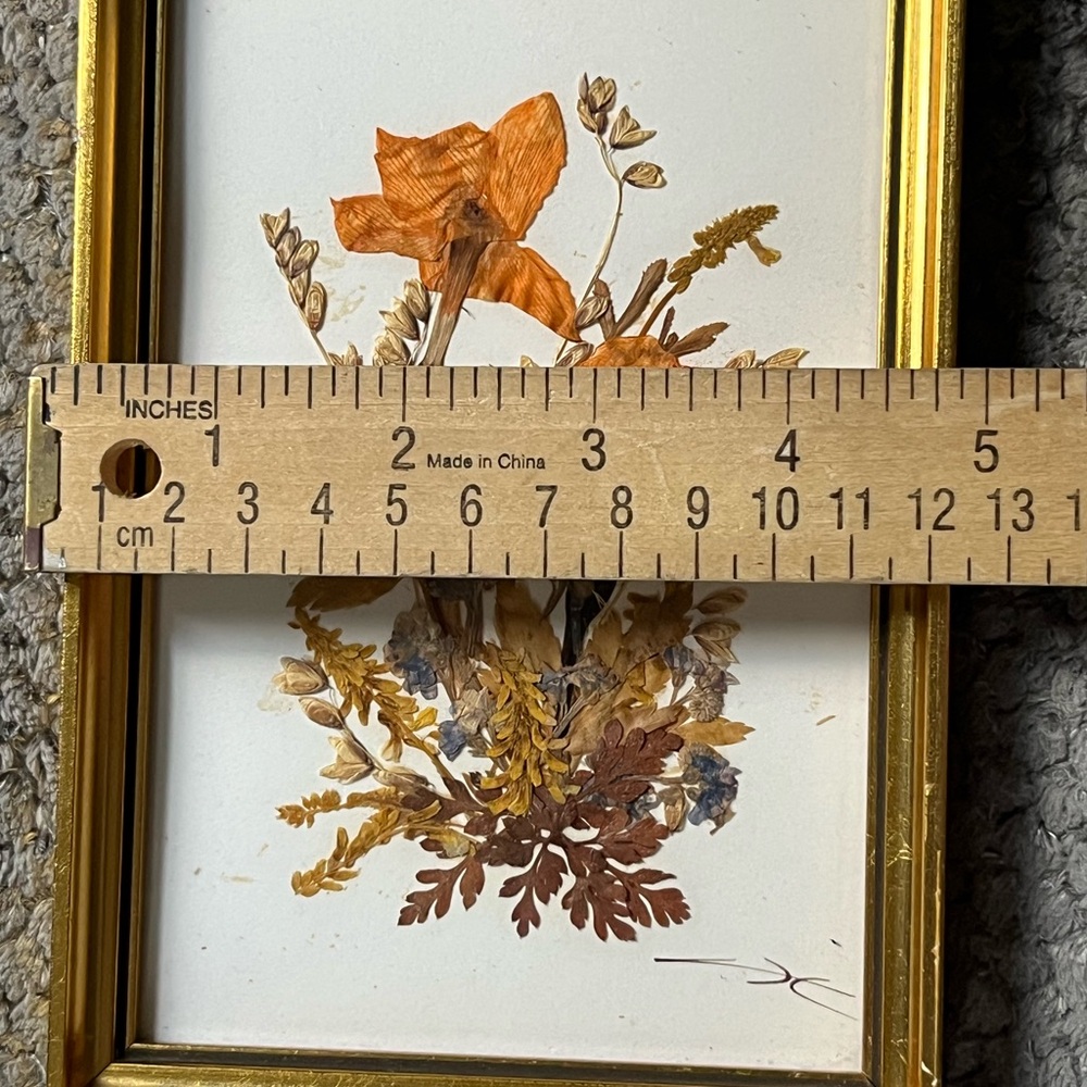 Vintage Tirol Austria Framed Pressed Flowers & Homemade Framed Butterfly 2 Pc - Picture 12 of 13